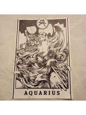 2/$10 Aquarius Zodiac Canvas Art Print